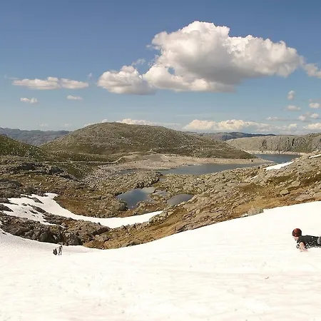 Florli 4444 * Floyrli