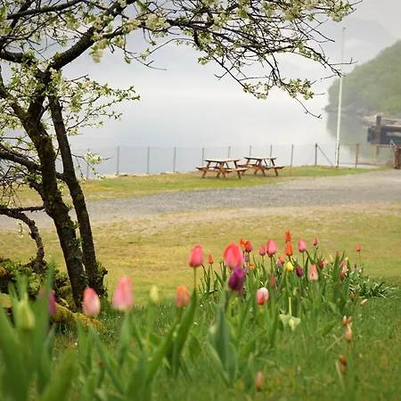 Florli 4444 * Floyrli