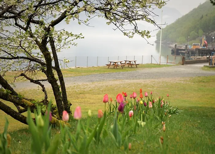 Florli 4444 * Floyrli